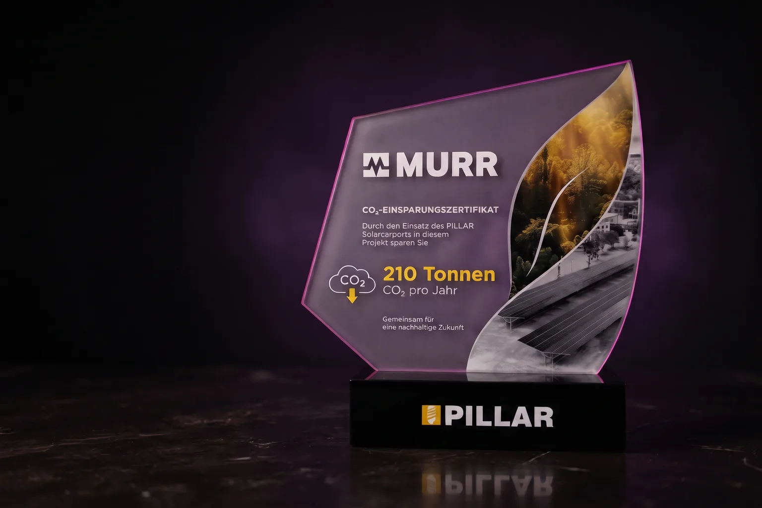 PILLAR — CO2 AWARD